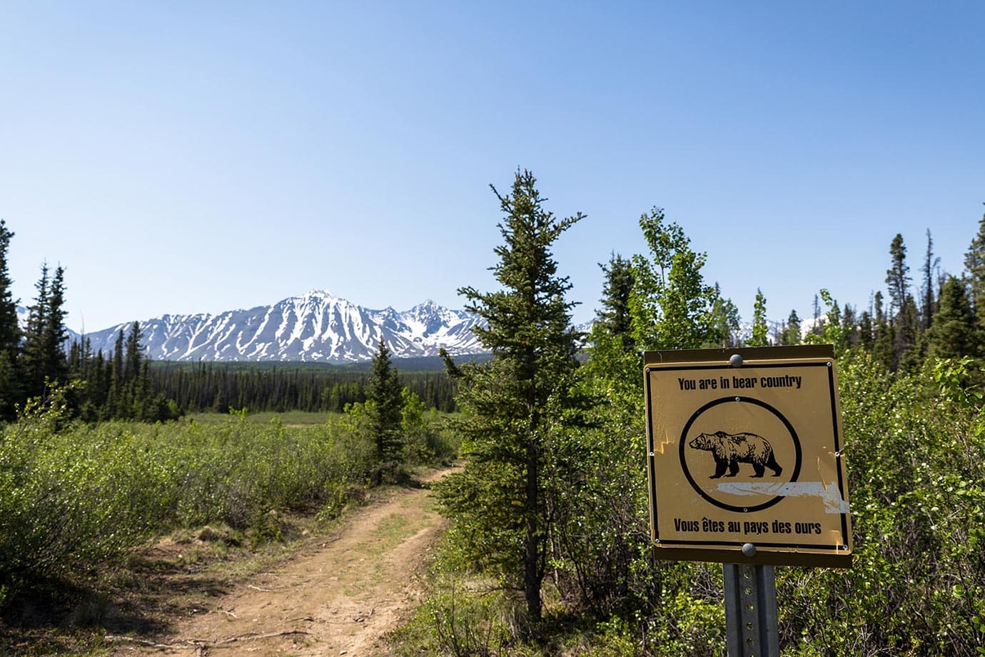 Bare warning sign in Canada