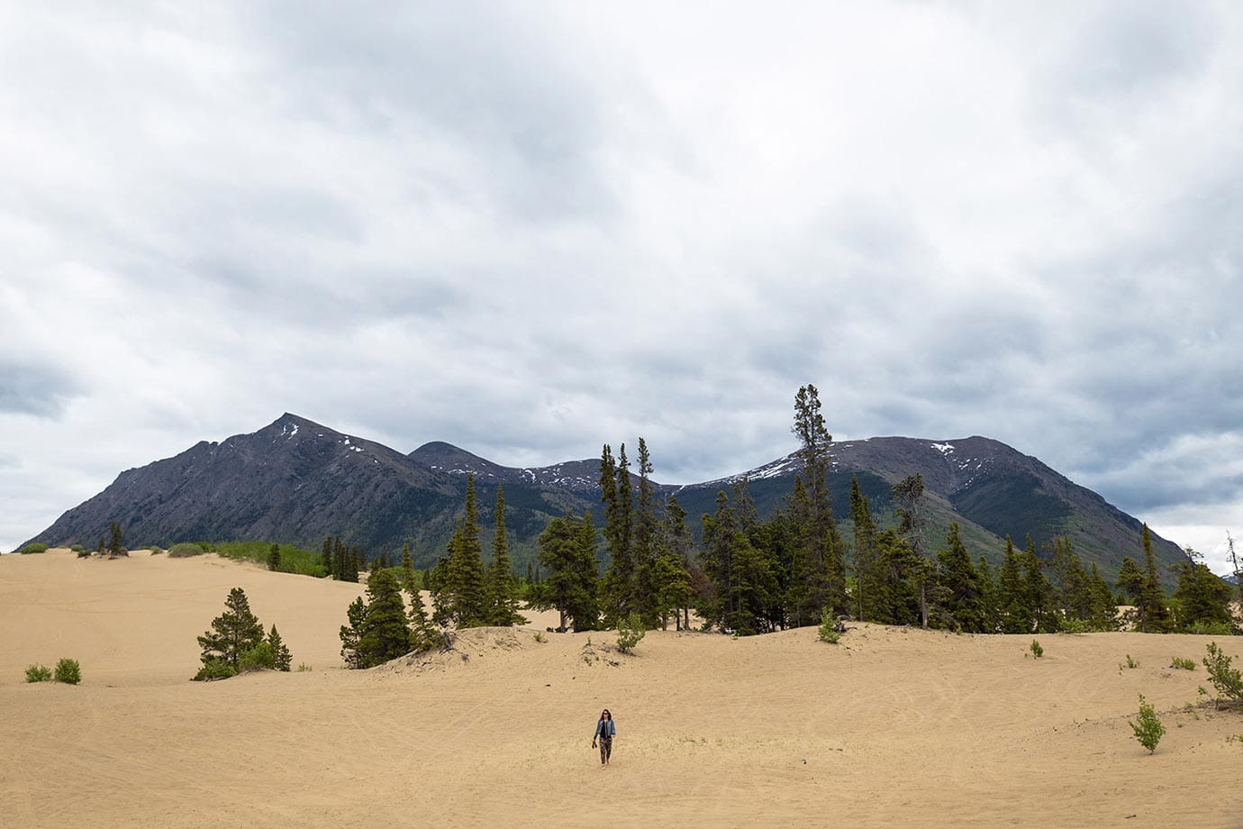 Carcross Desert, the Yukon