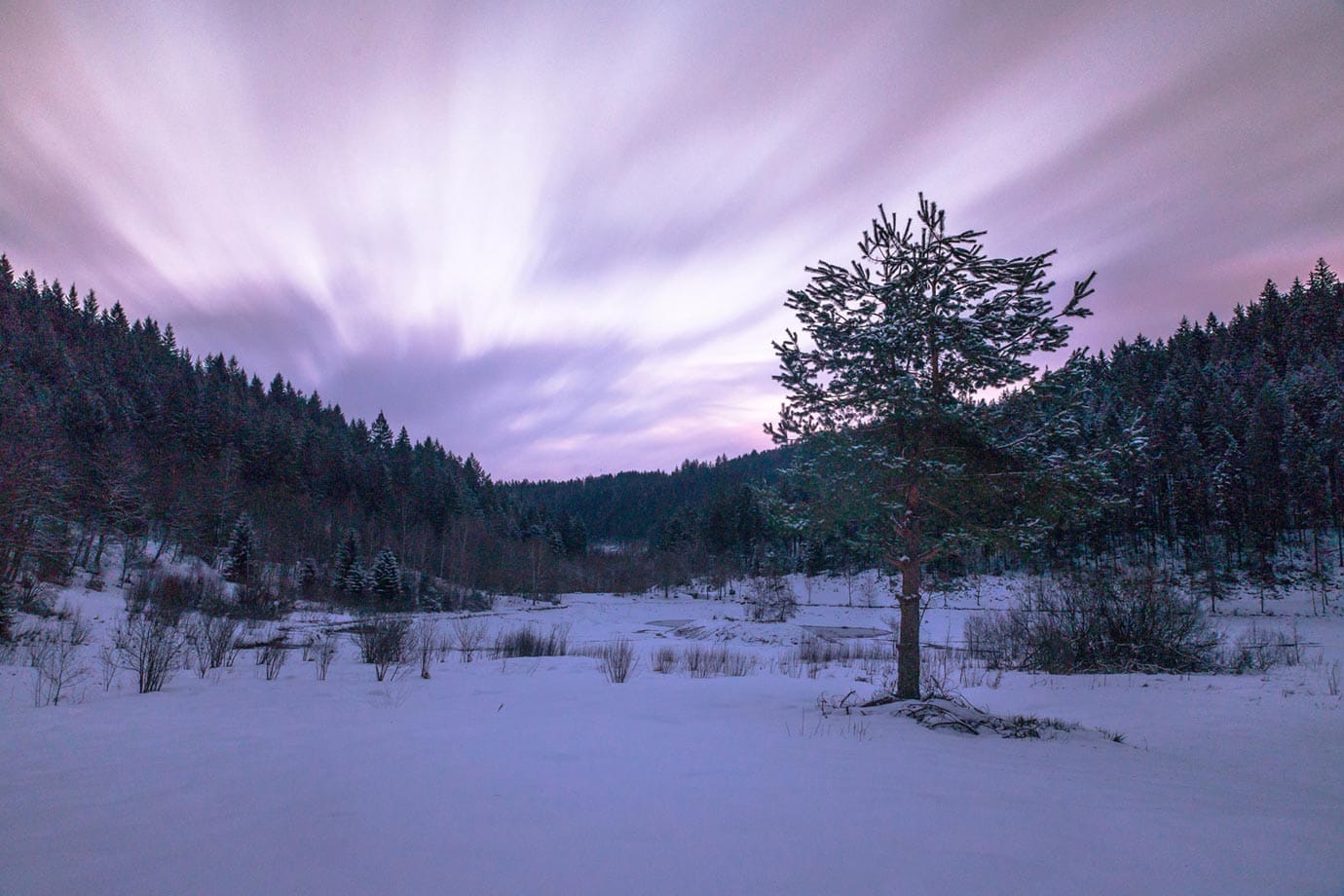 The Black Forest, Germany