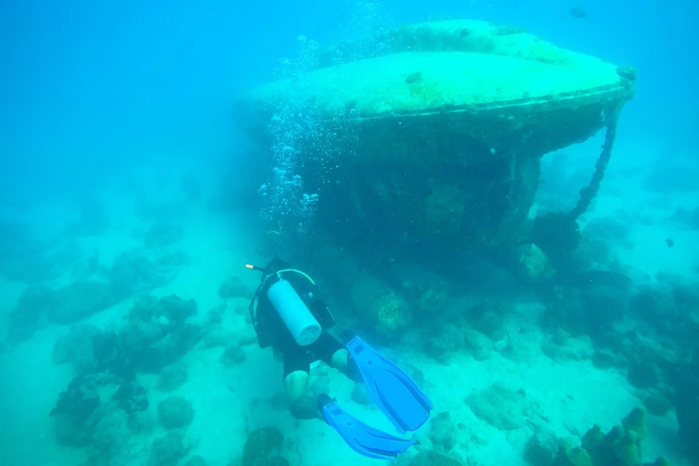 Diving in Barbados