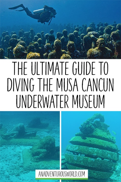 musa diving cancun