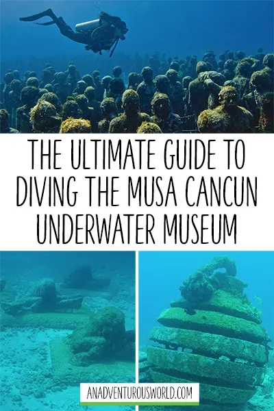 musa diving cancun