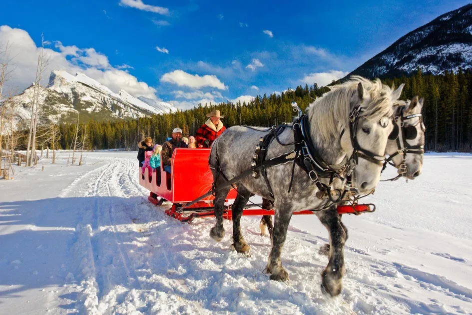 horse sleigh ride banff