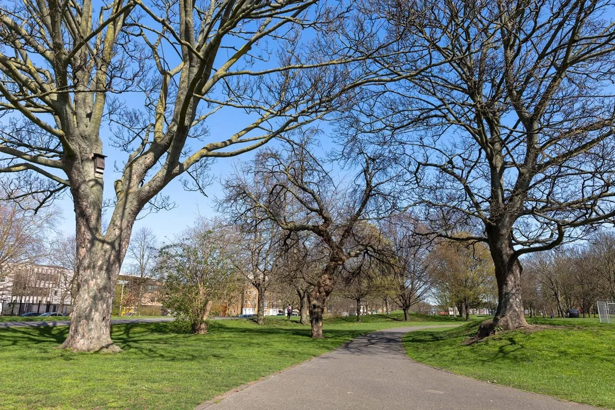 Burgess Park, London