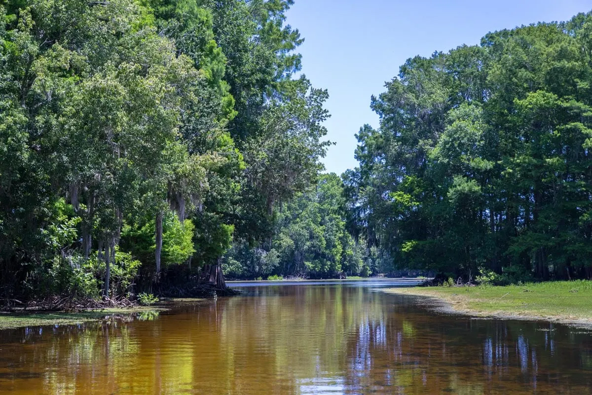 Airboat tours, Florida