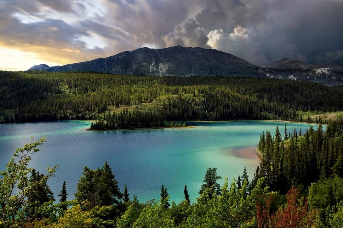 7 Unmissable Things to do in Yukon, Canada (2024 Guide)