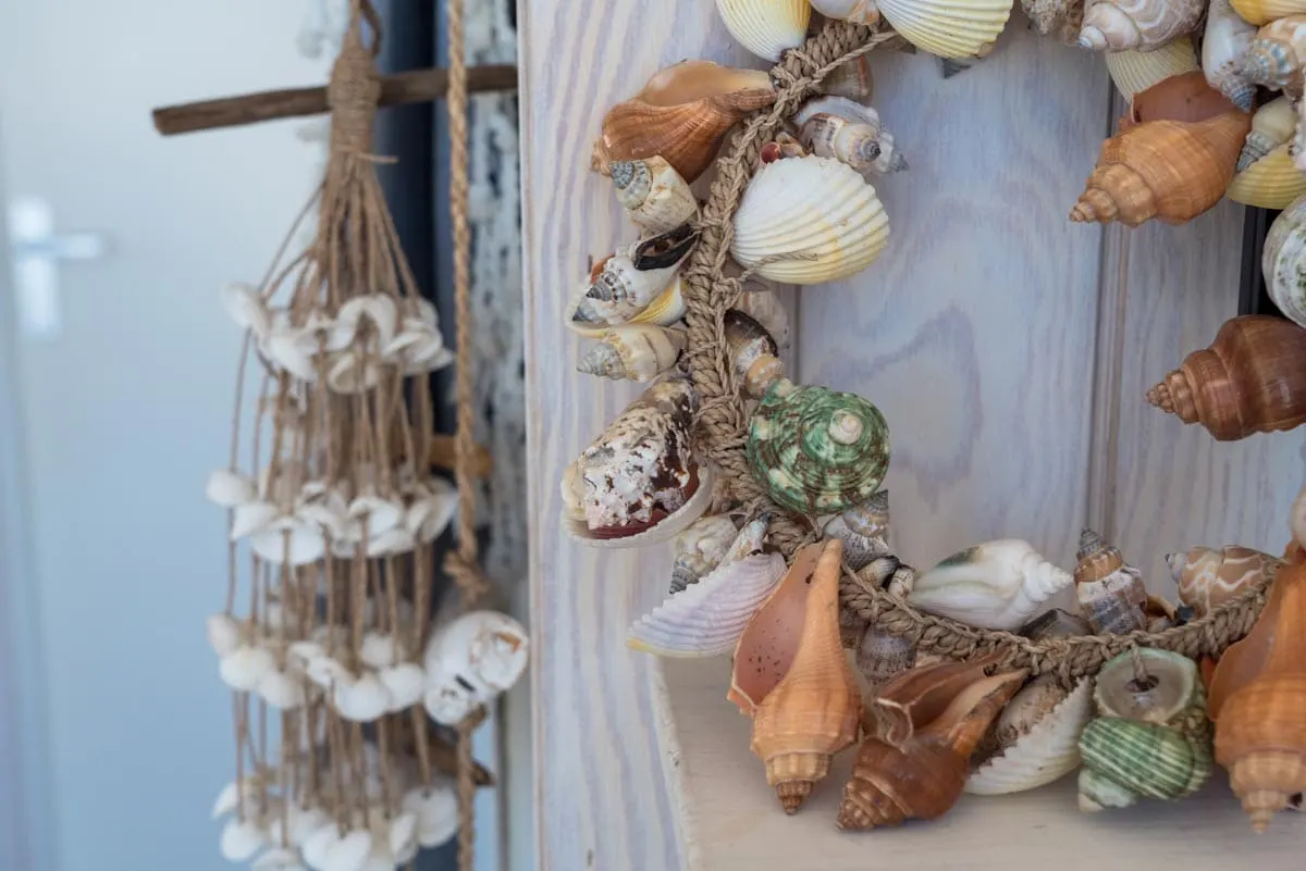 shell design
