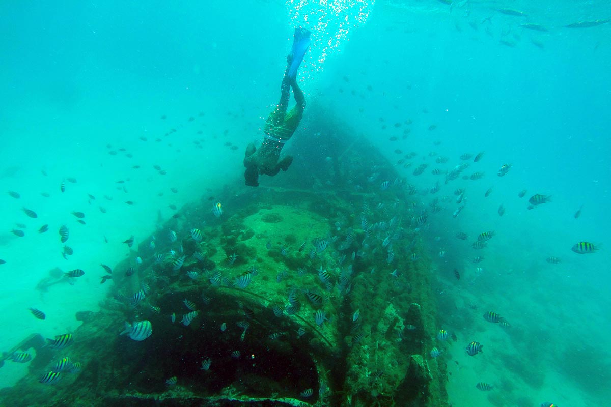 snorkelling in barbados