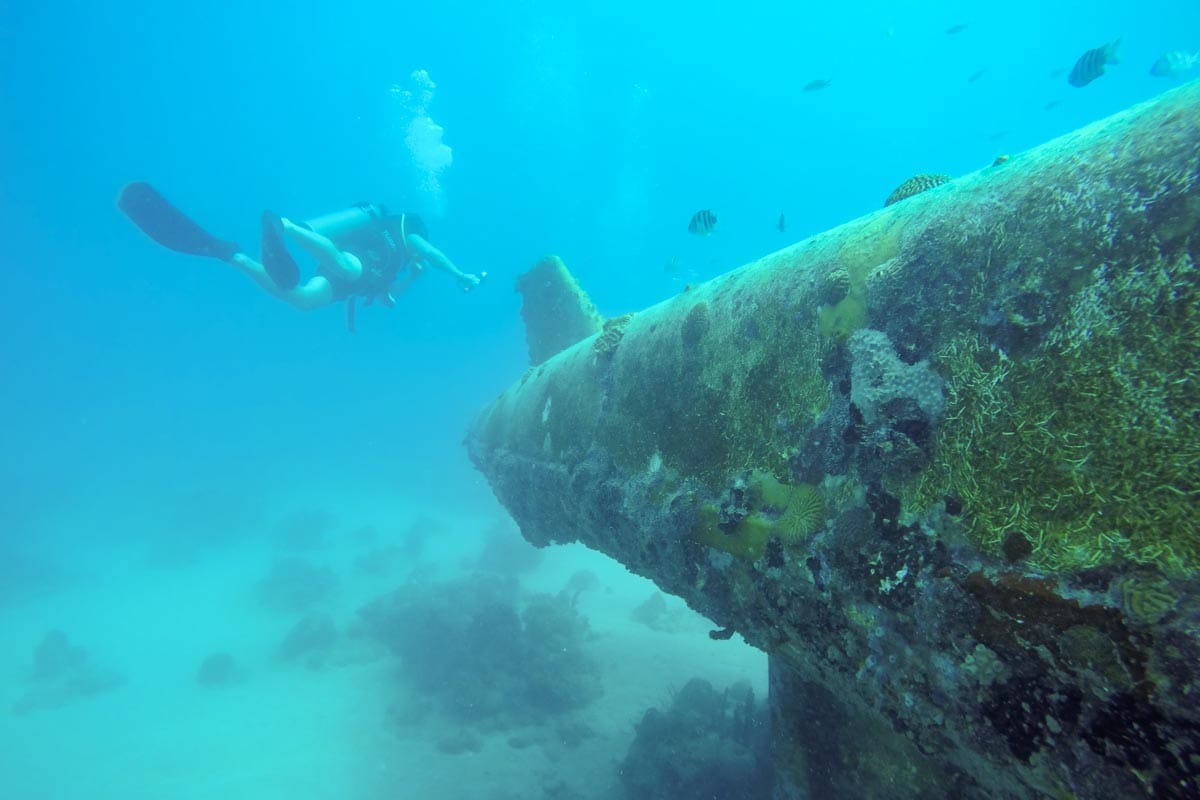 yellow submarine barbados