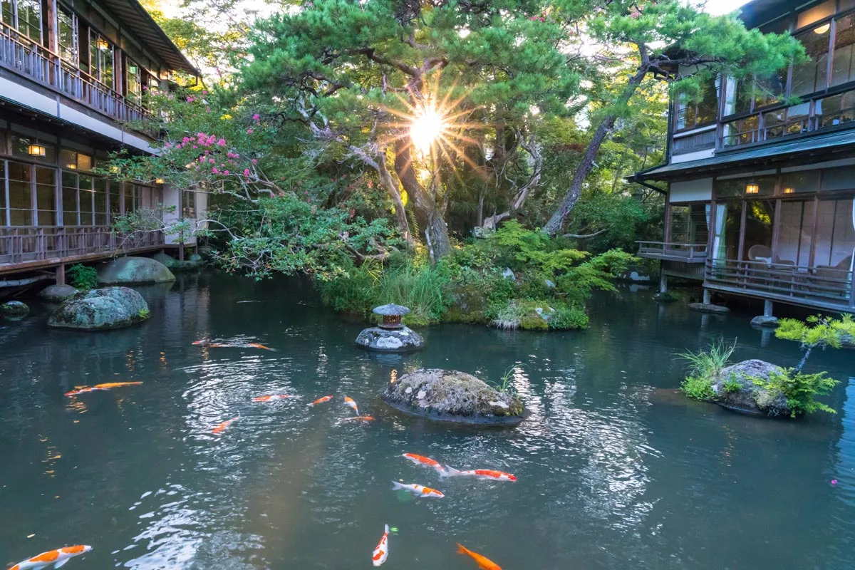 arai ryokan shuzenji