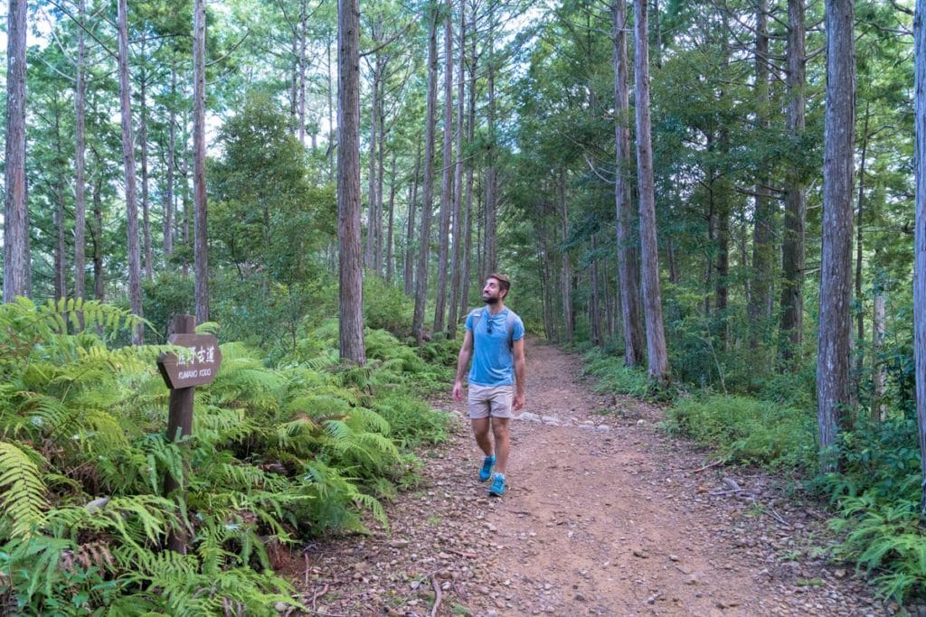 hiking the kumano kodo