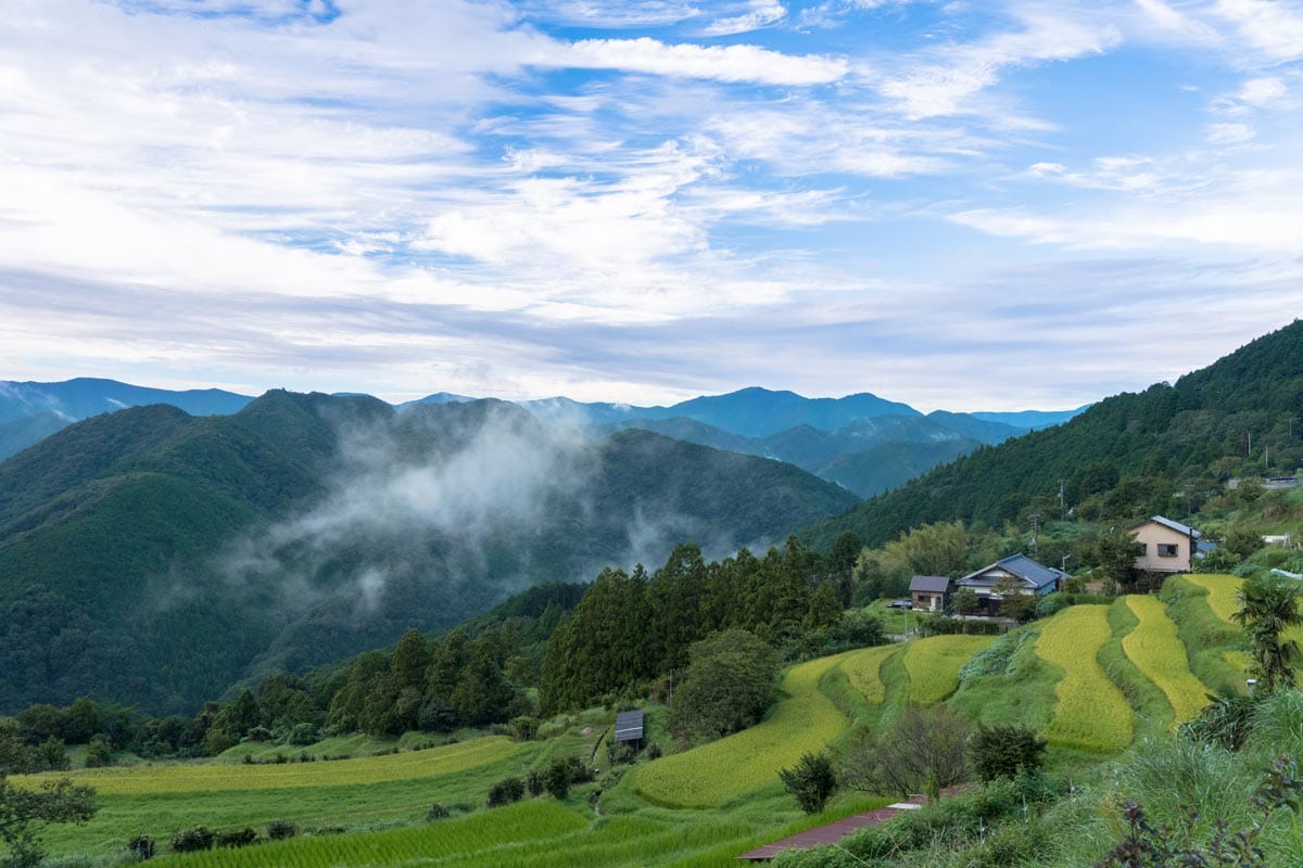  kumano kodo trail