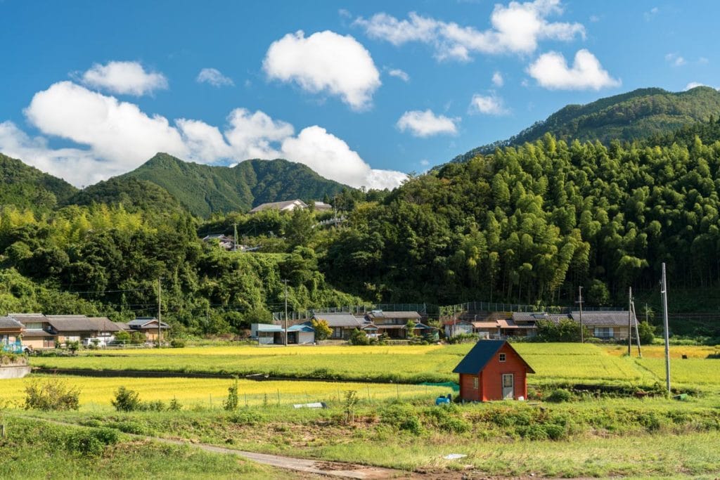 kumano kodo walk