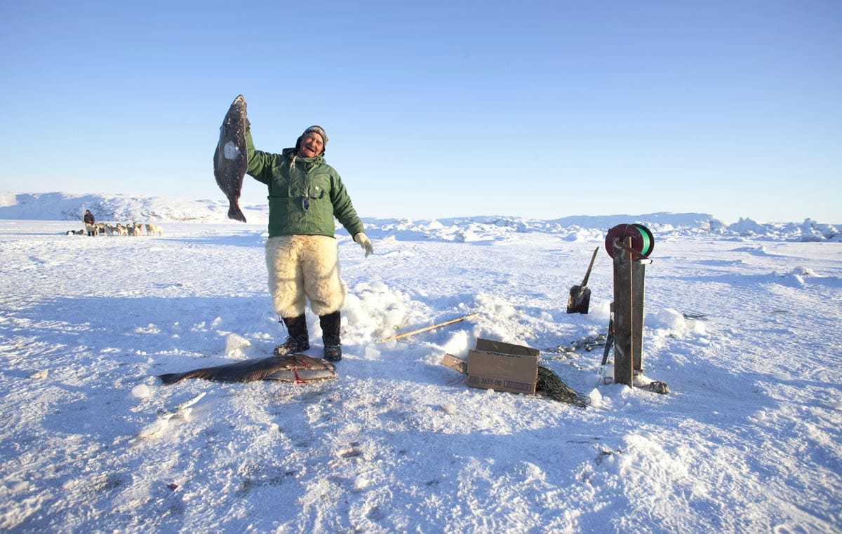 fishing in greenland