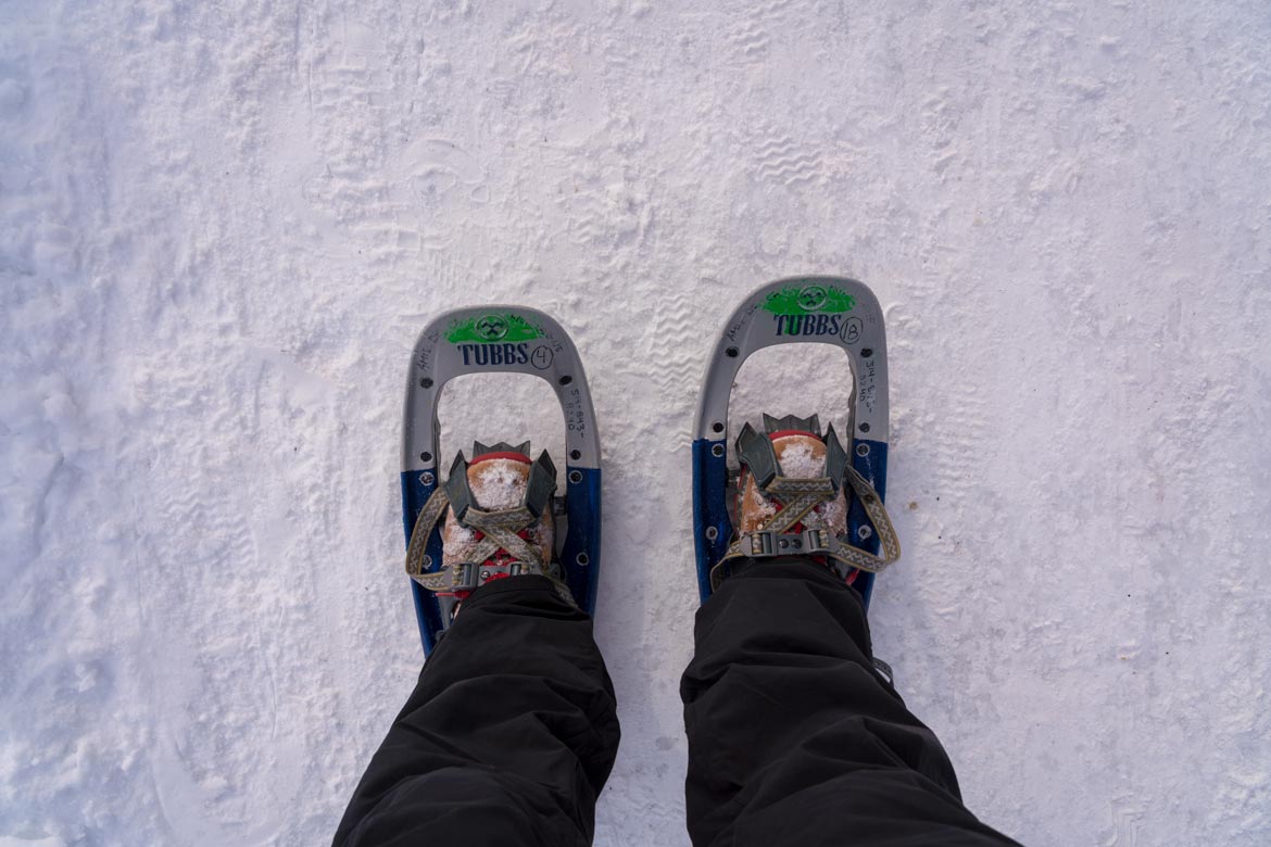 hiking mount royal in winter