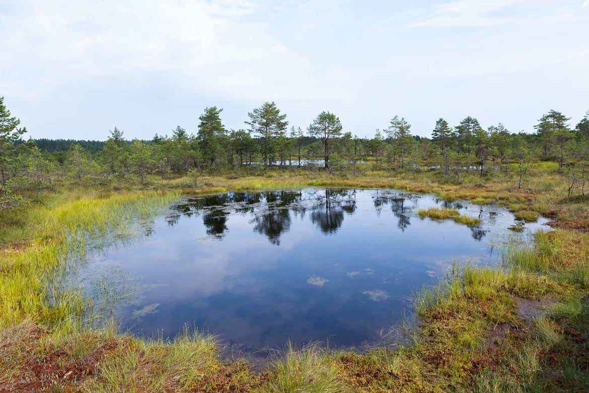 lahemmaa national park tour