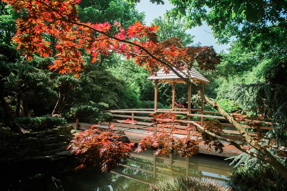 japanese gardens newquay attractions