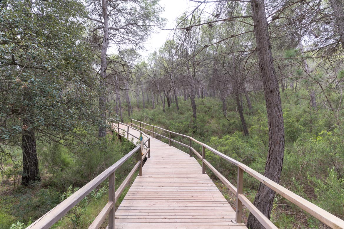 sierra espuna