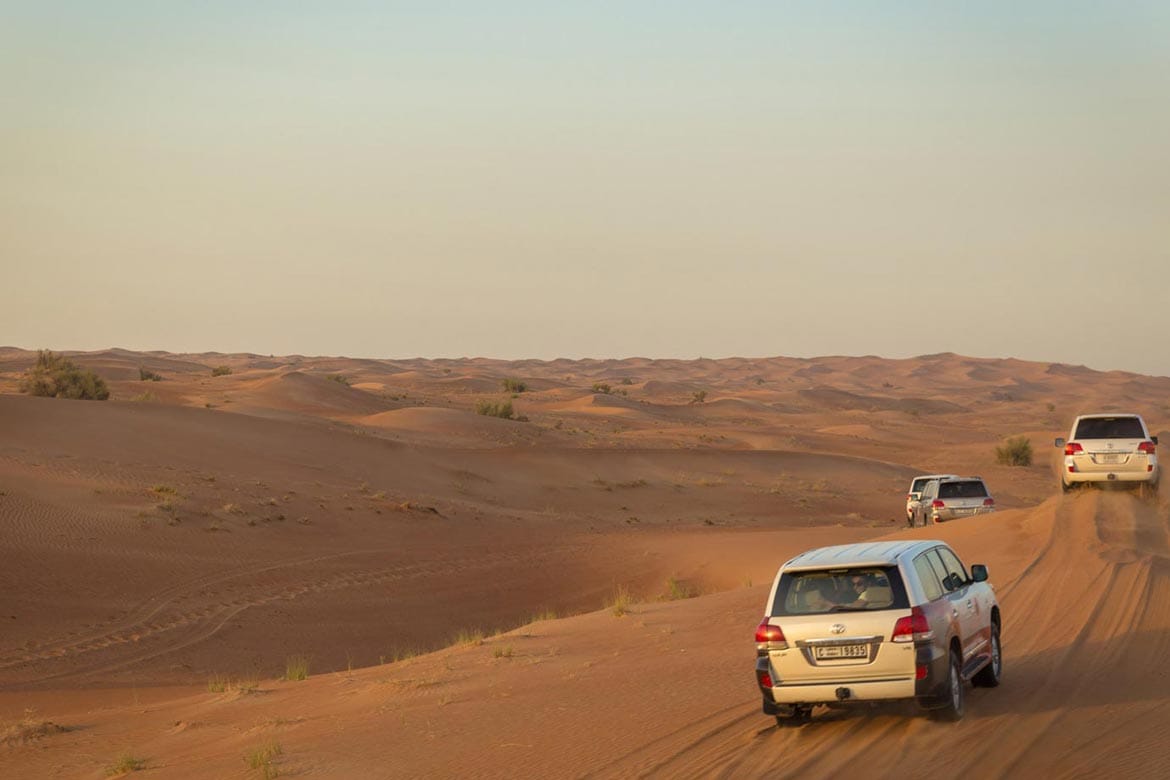 desert safari