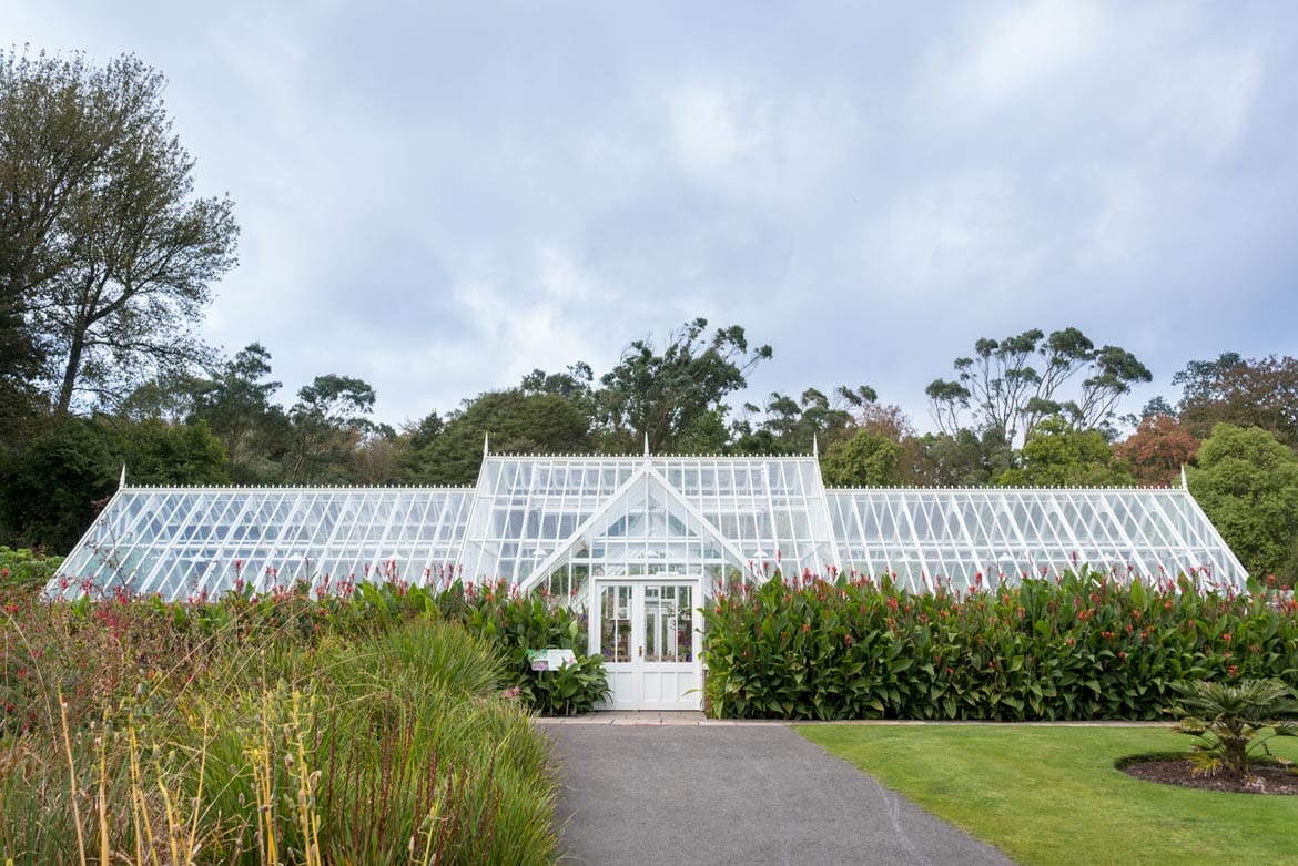 logal botantic gardens, scotland