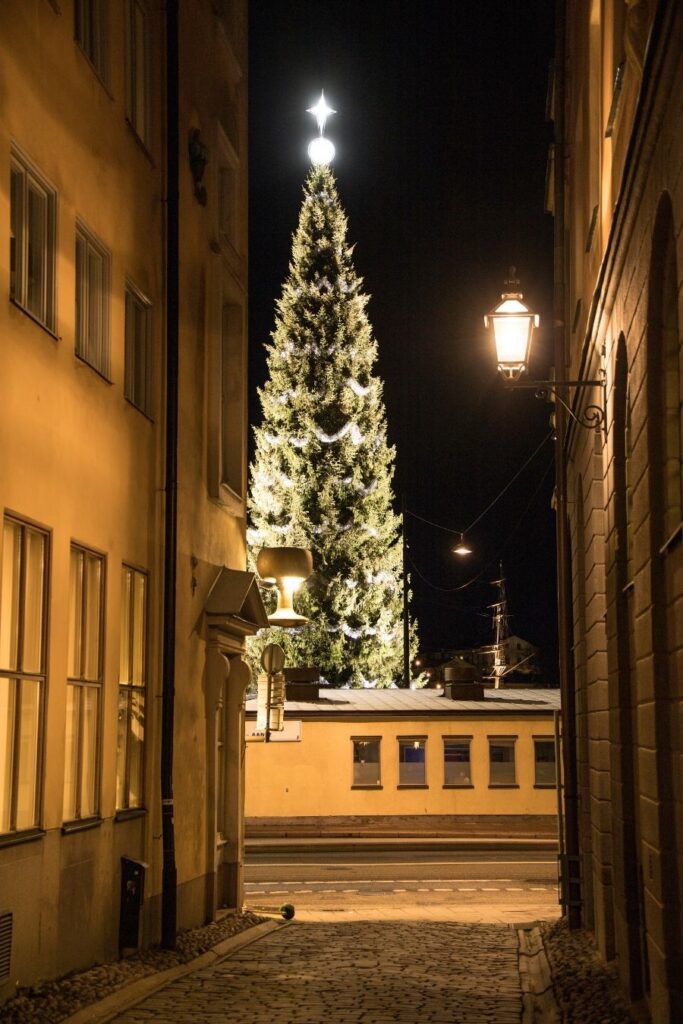what to do in stockholm in winter