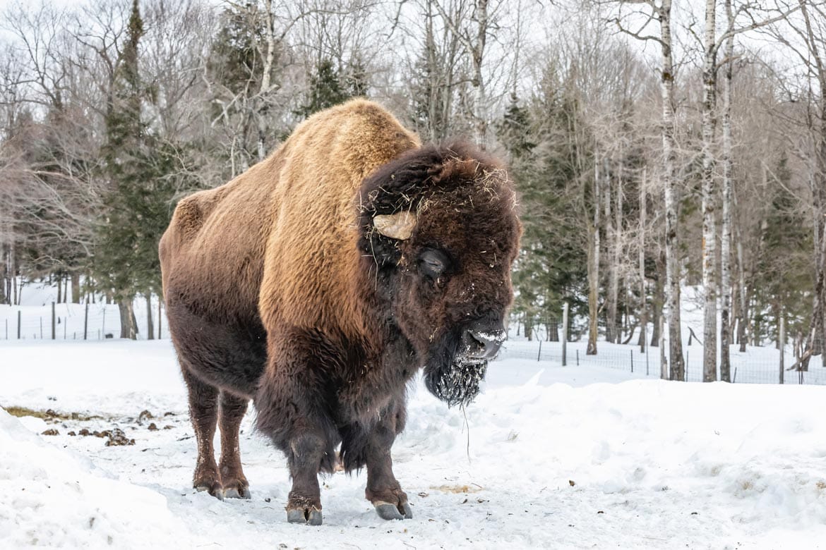 omega park canada