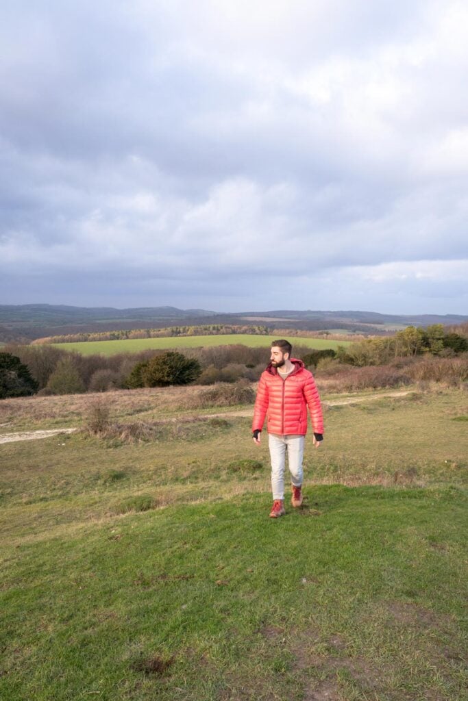 what's new in the south downs