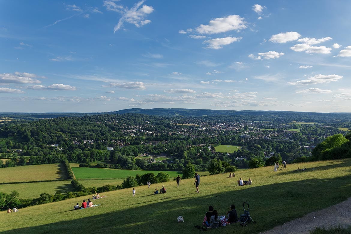 box hill circular