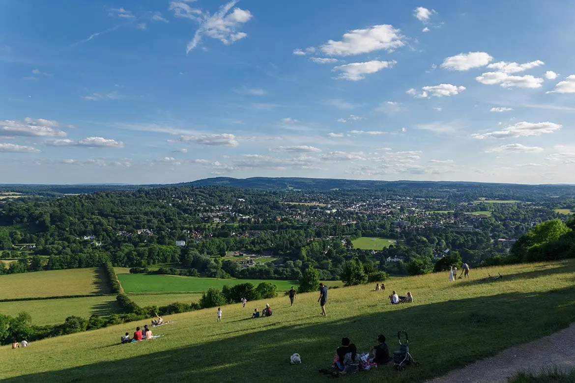 box hill circular
