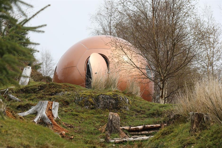 conker treepod wales