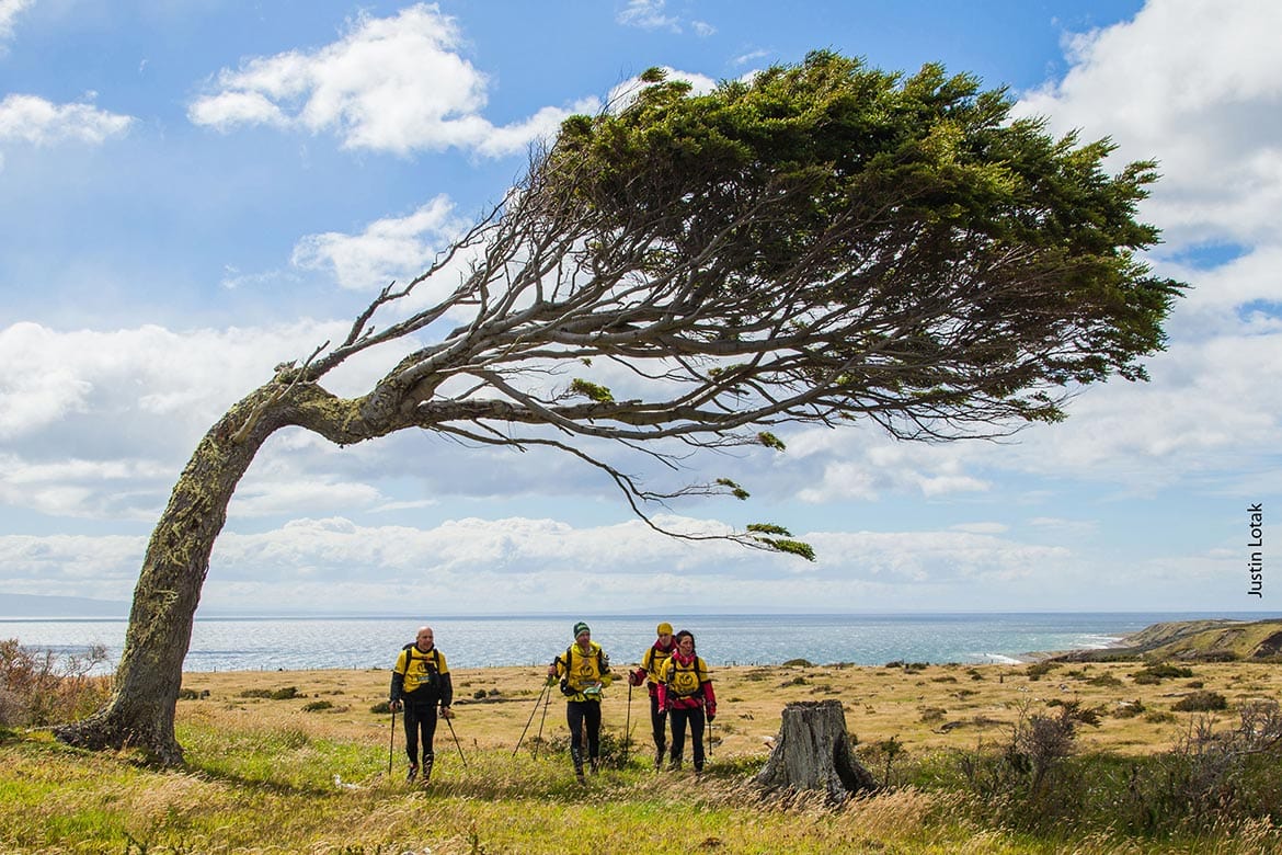 patagonian expedition race