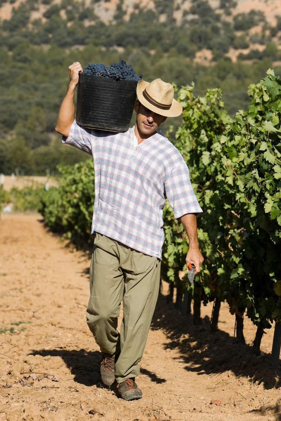 The 12 BEST Day Trips from Madrid, Spain (2021 Guide)