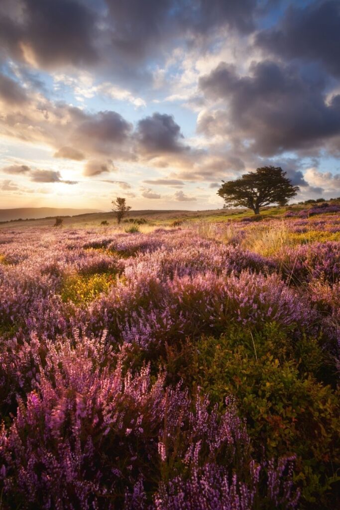 wild camping in exmoor