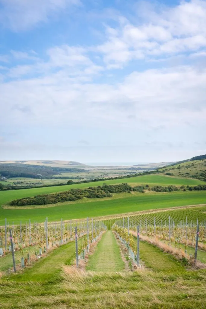rathfinny wine estate
