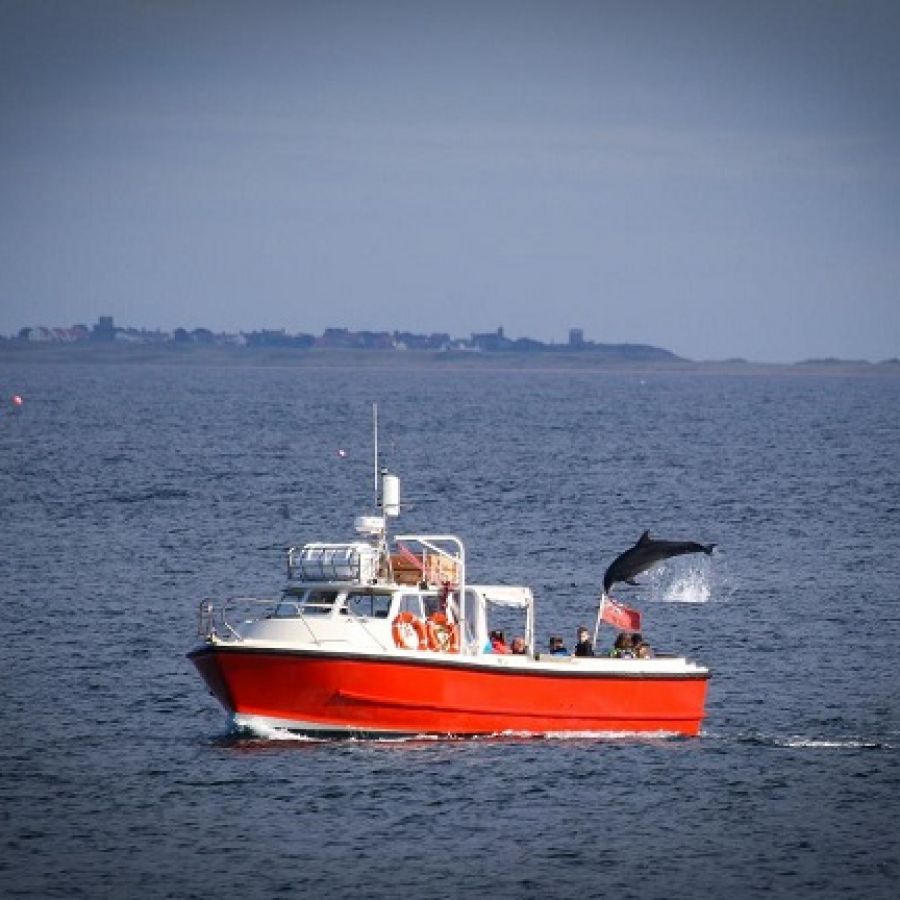 berwick boat trips