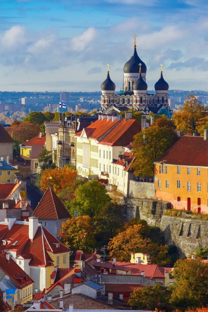 tallinn on a budget