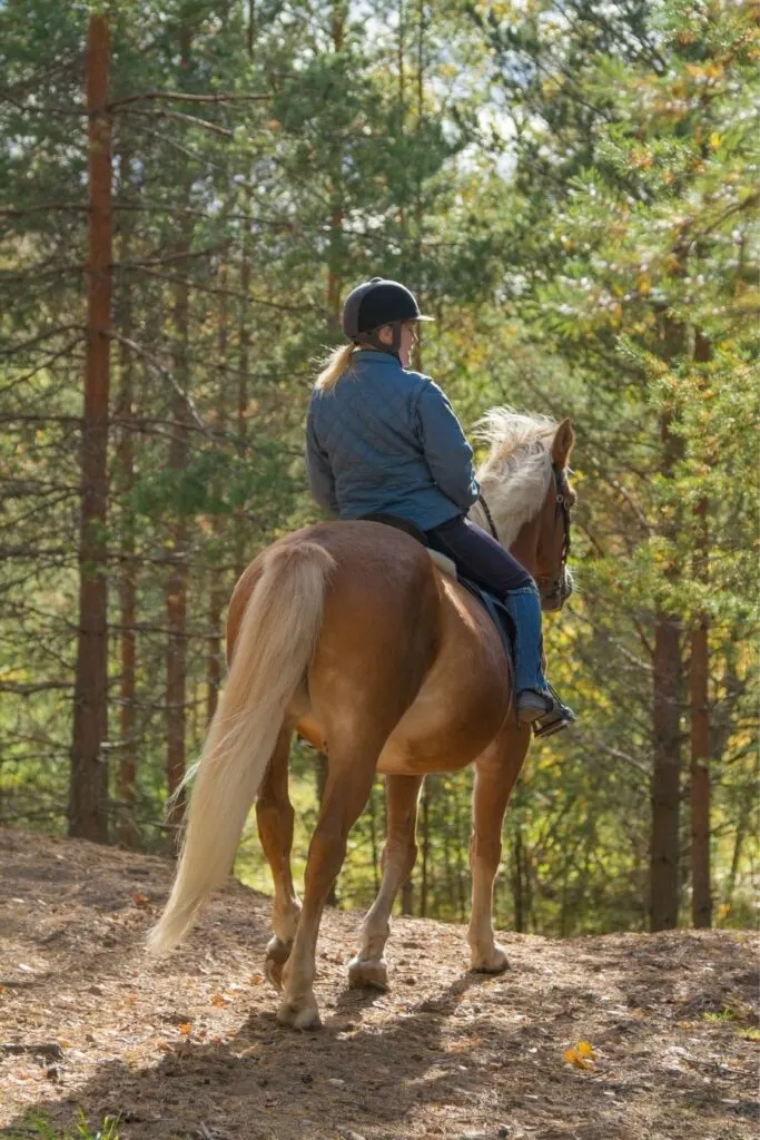 horse riding utah