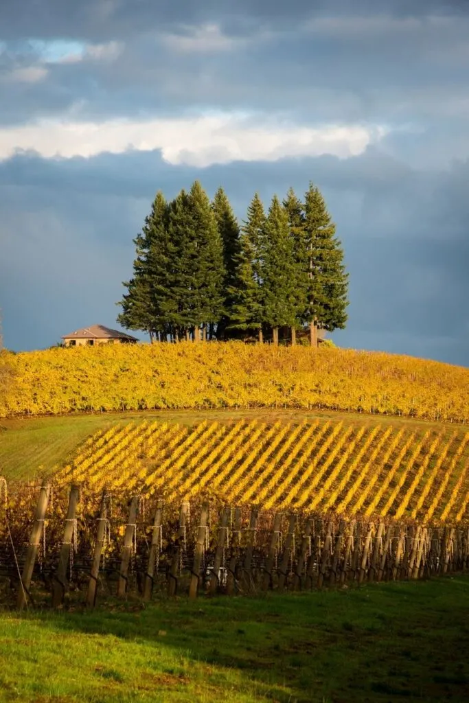 portland wine tours