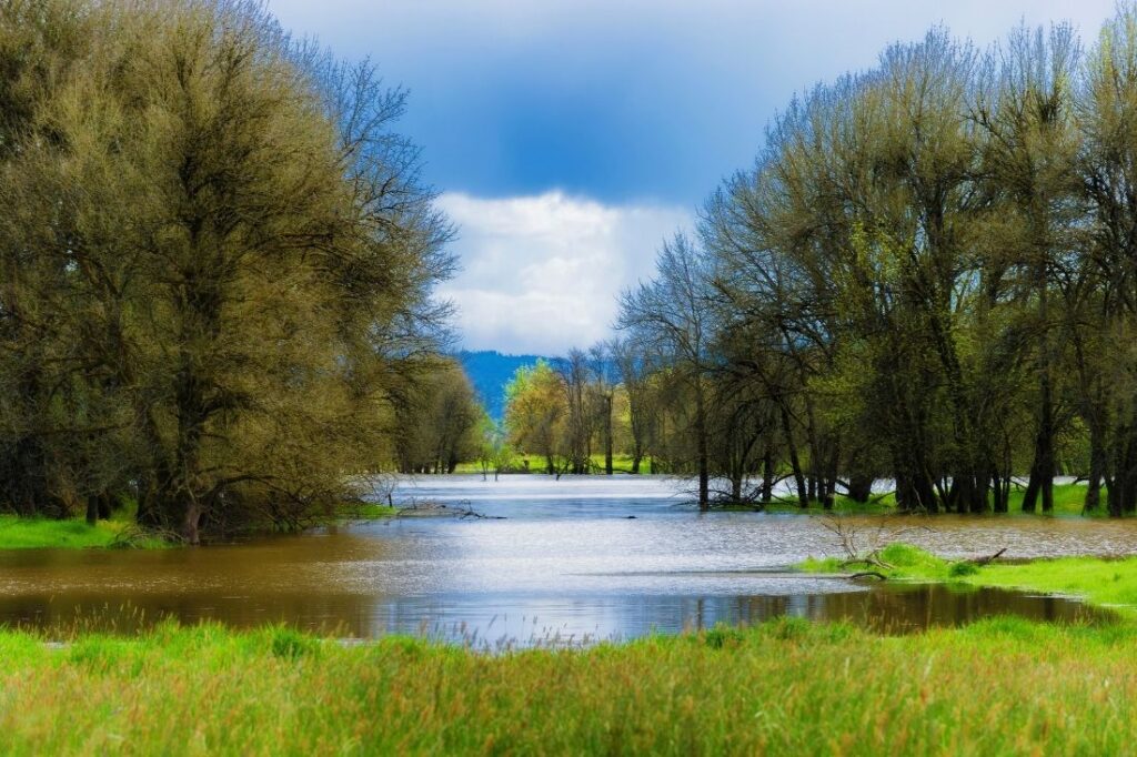 sauvie island