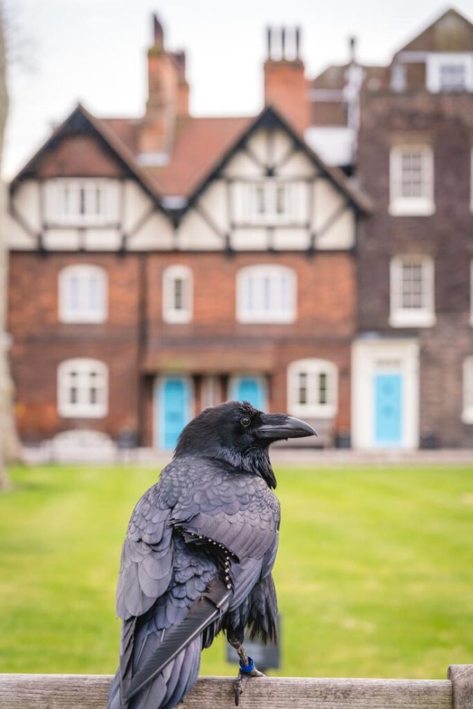 tower of london opening times