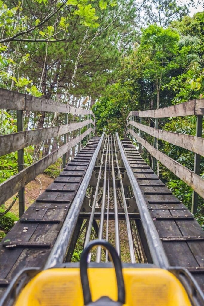 alpine coaster