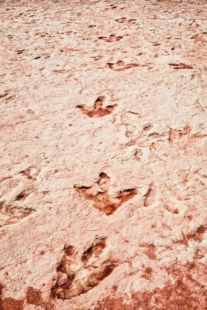 dinosaur valley state park