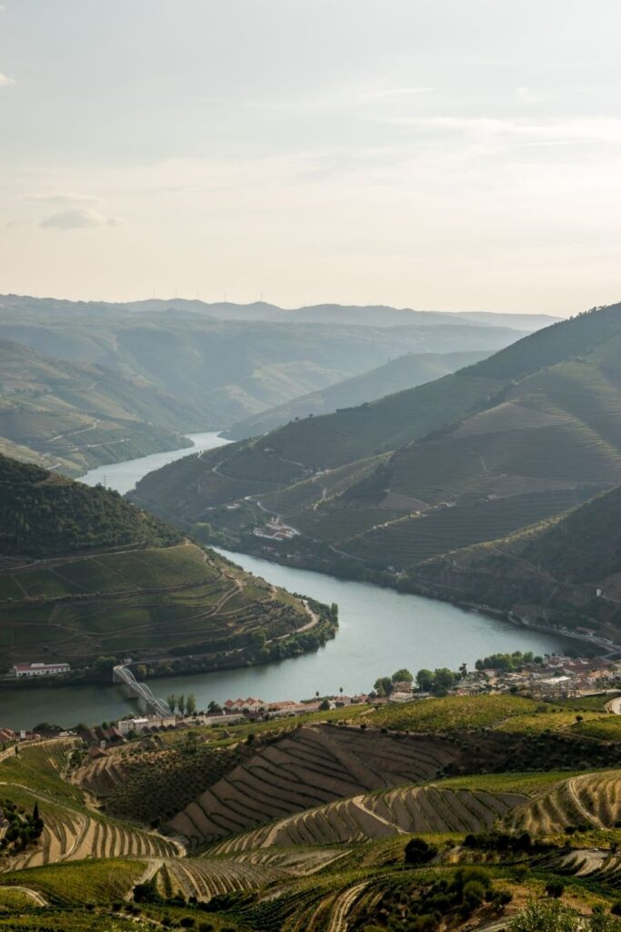 douro valley day trip from porto