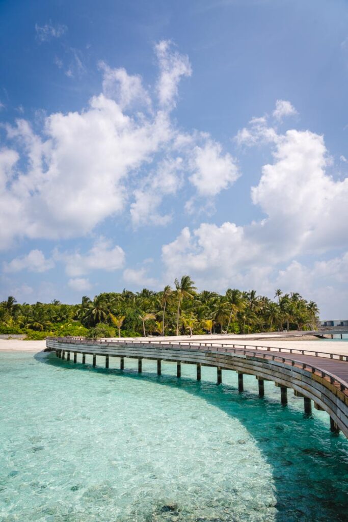 review amilla fushi