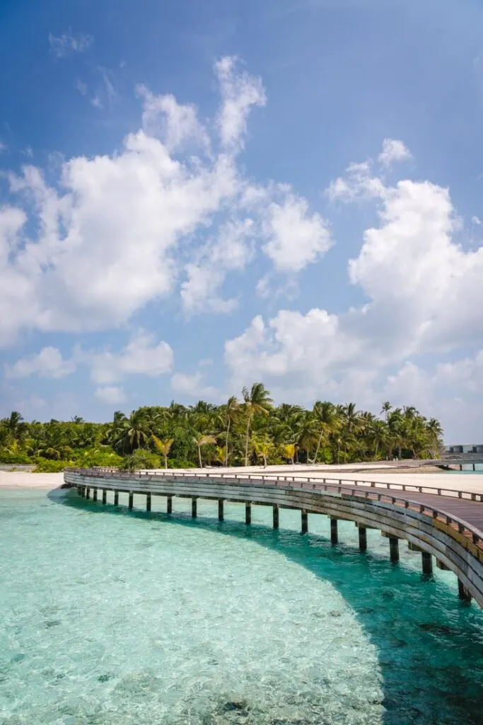 review amilla fushi