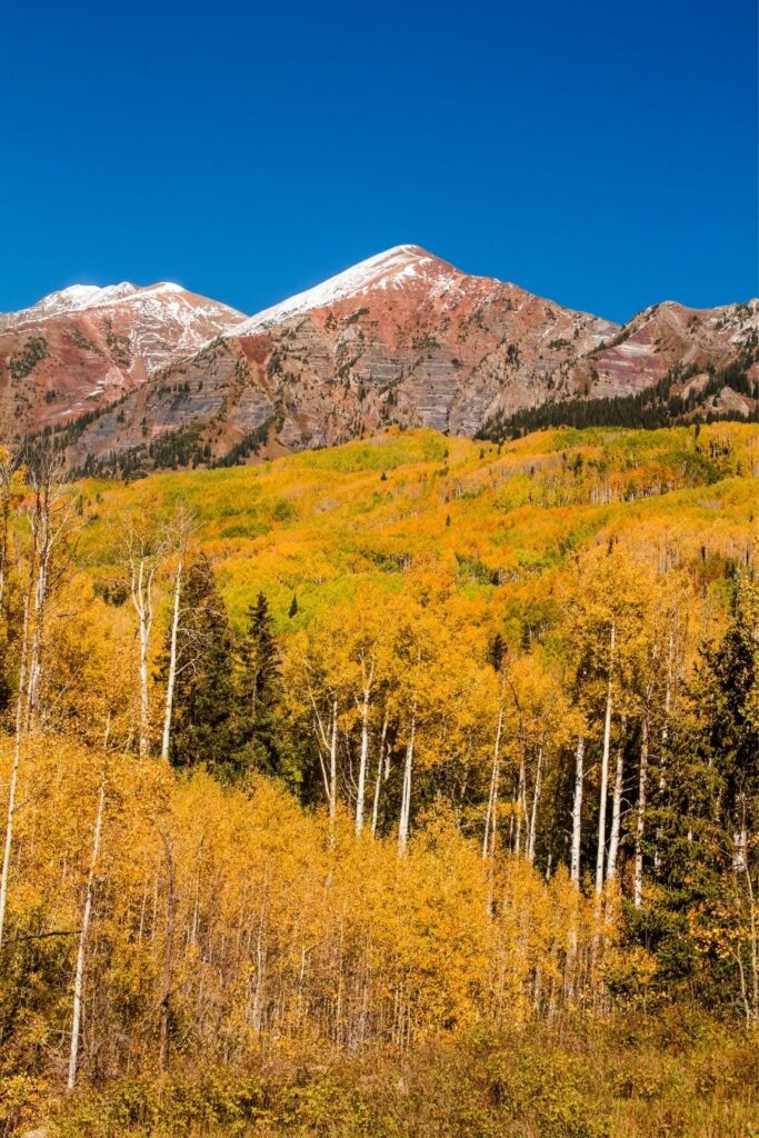 where to go in colorado in the summer