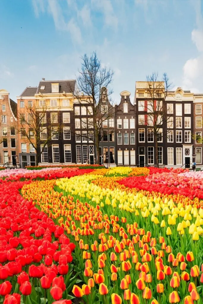best things to do in amsterdam in summer