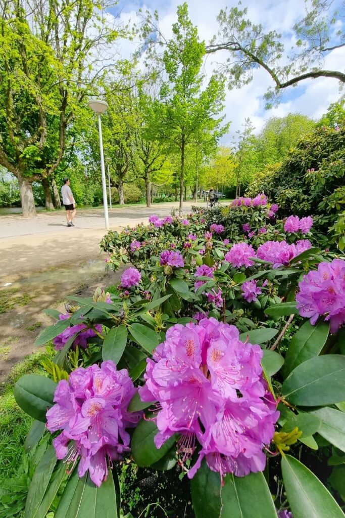 parks in amsterdam