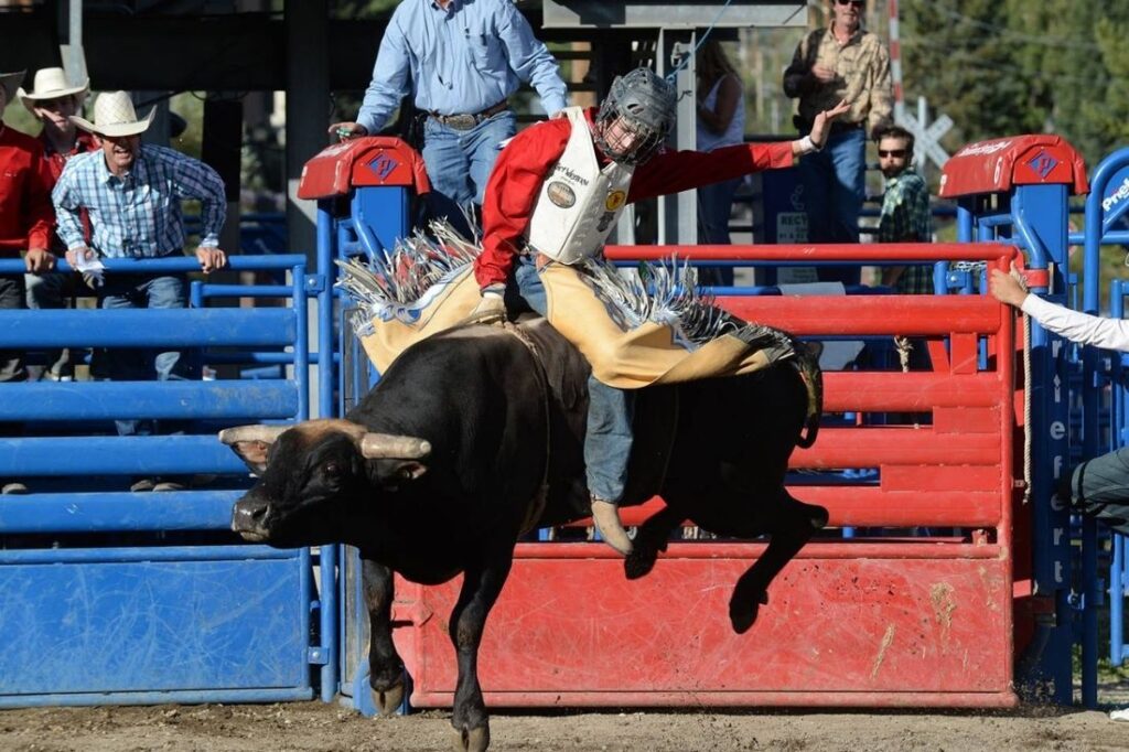 prorodeo colorado