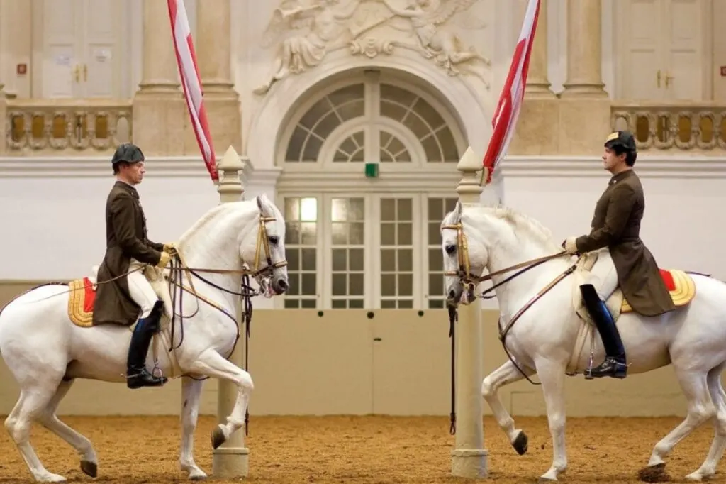 spanish riding school